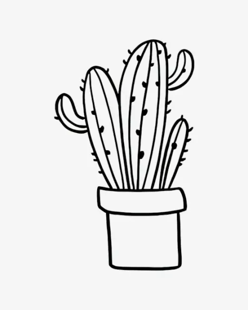 Desert Bloom - Semi-Permanent Tattoos