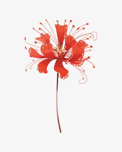 Scarlet-Spider-Lily-Temporary-Tattoos Scarlet Spider Lily - Temporary Tattoos