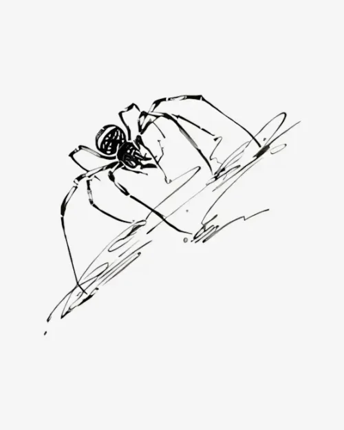 Sketched Arachnid - Semi-Permanent Tattoos
